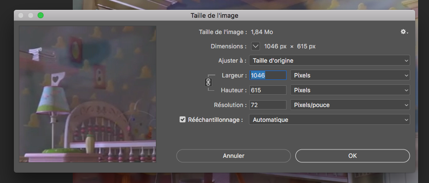 Fenetre taille img photoshop